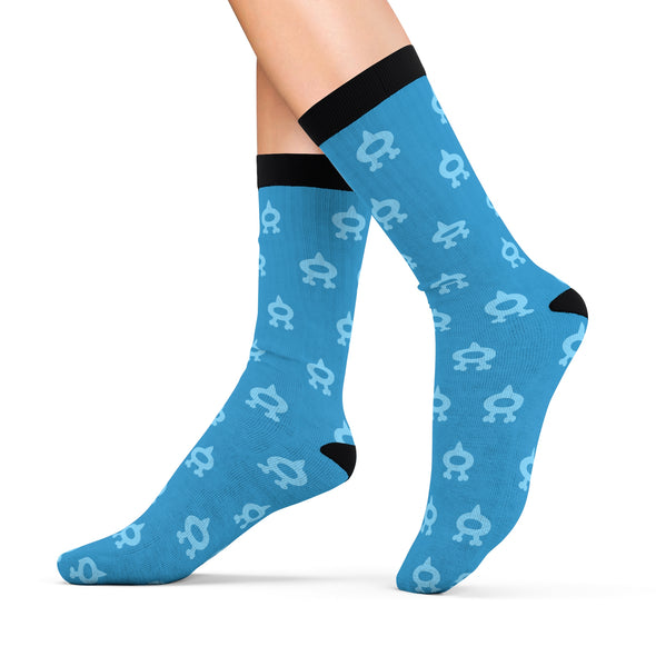 Pokemon Team Aqua Socks